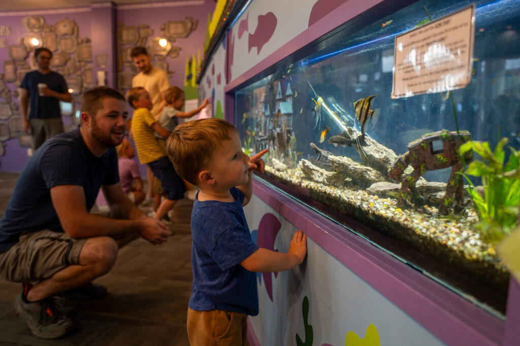 The Iowa Children's Museum photo from the official site